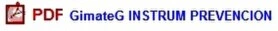 enlace a PDF instrumentos prevencion gimateG